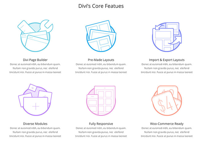 Divi features