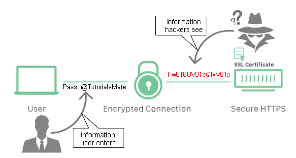 HTTPS & SSL