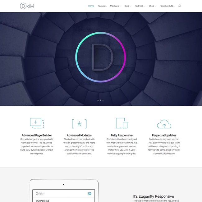 divi wordpress theme