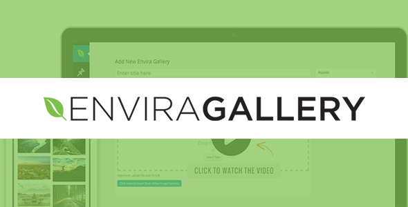 Envira Gallery WordPress Plugin