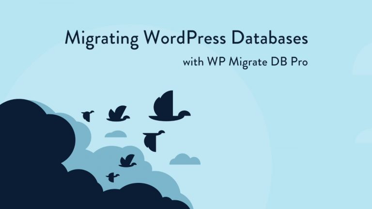 WP Migrate DB Pro plugin