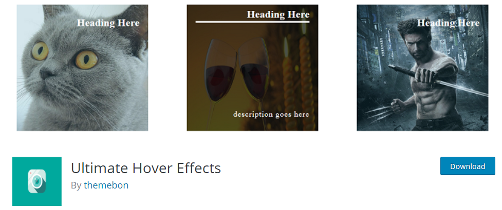 8 best WordPress Image Hover Plugins – Rokin